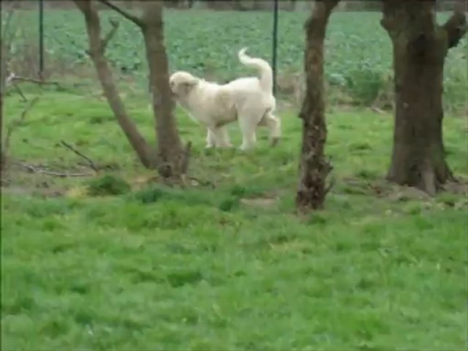 hagartha du Royaume d'ursita