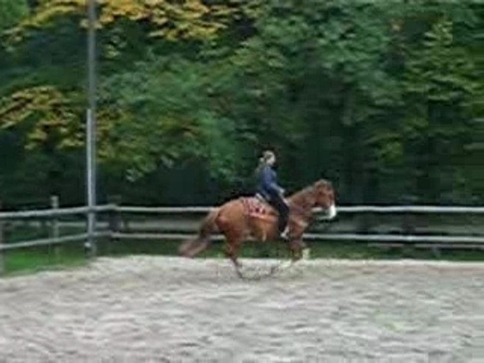 Galop a droite et stop