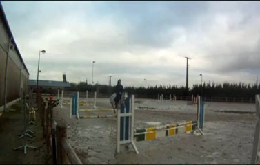 saut de puce 1