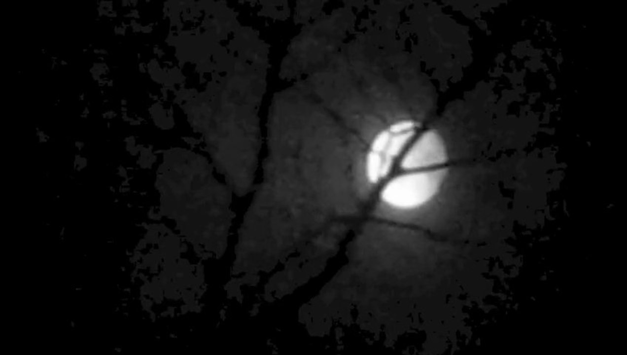 Take Five:  Love Song by Paul Desmond  lyrics&tune variation by michael hermiston