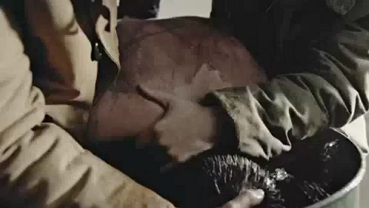 Amnesty International - Saturday - Cossette Communication-Marketing