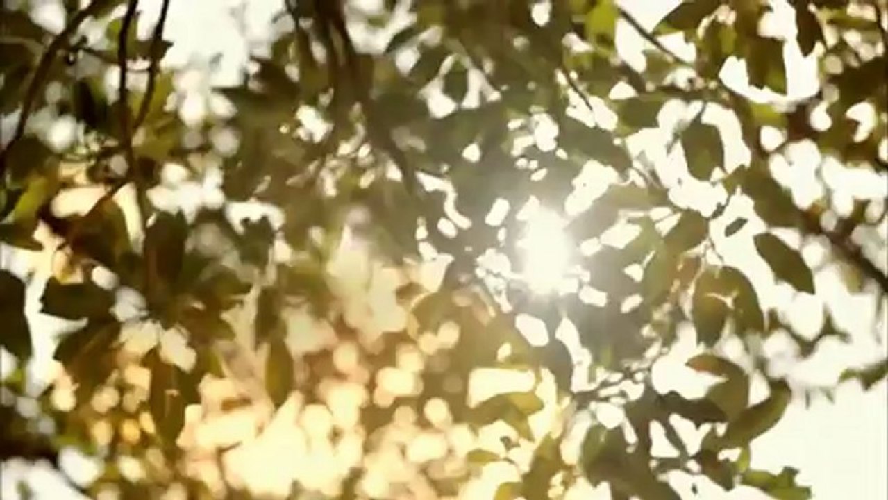 金泰希 - 韓華生命保險 1