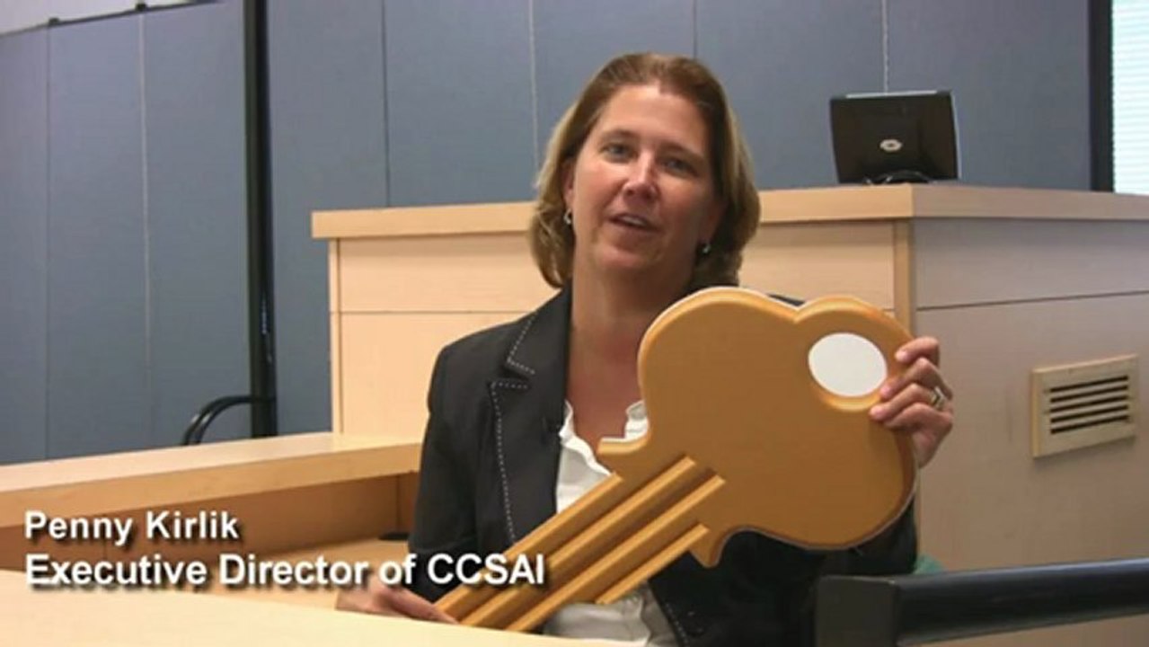 Key Performance Indicators Surveys - Penny Kirlik