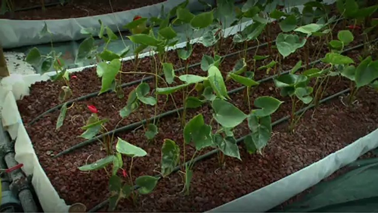 Akuo Energy, mbre d'OMN