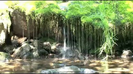 Pays pêche, Monts et Lacs en Haut Languedoc