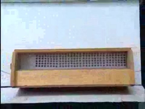 ARICILIK 4 - Polen Üretimi, faydaları