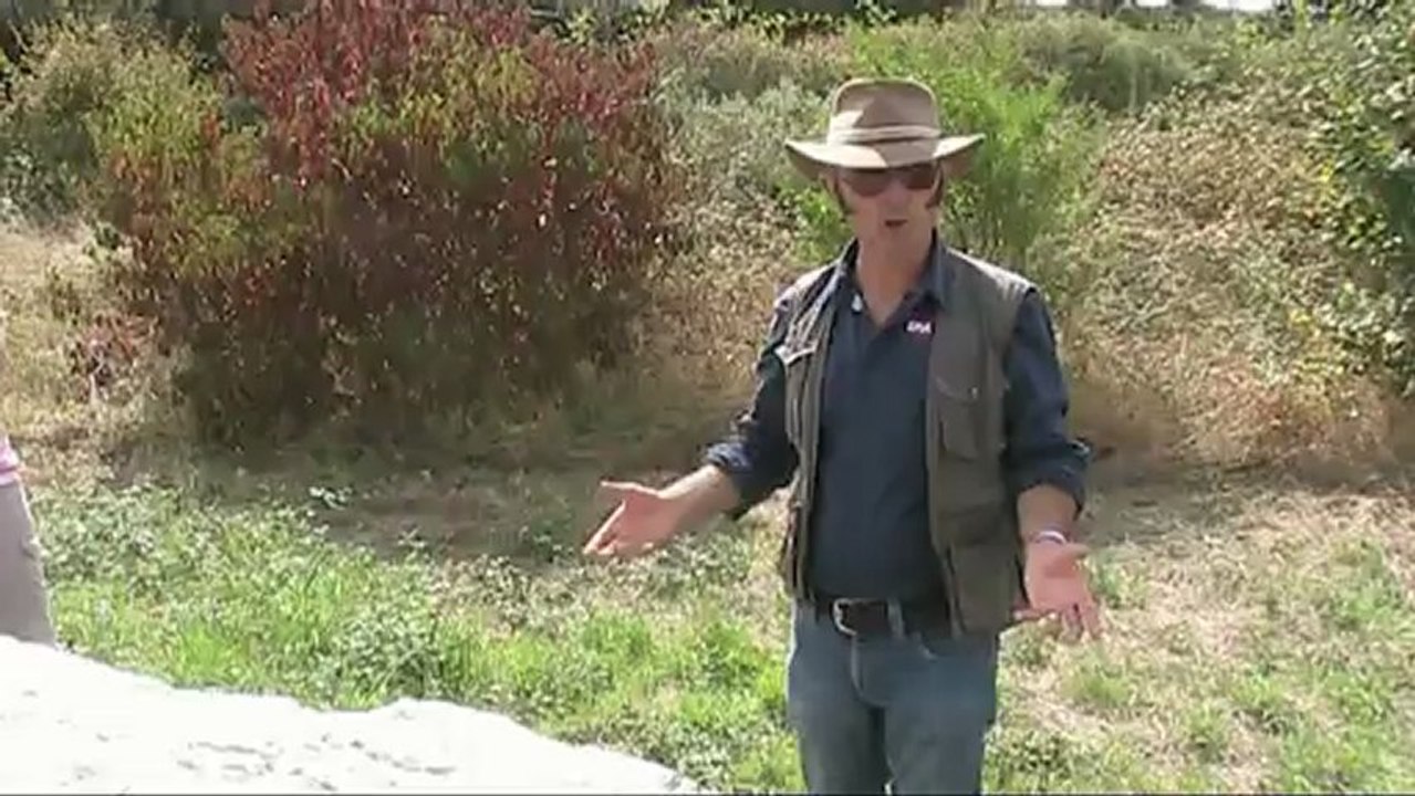 Mégalithes en Vendée - Gérard Benéteau - 2 /3