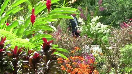 كايت تحتفل بعيد ميلادها الحادي والثلاثين الاربعاء