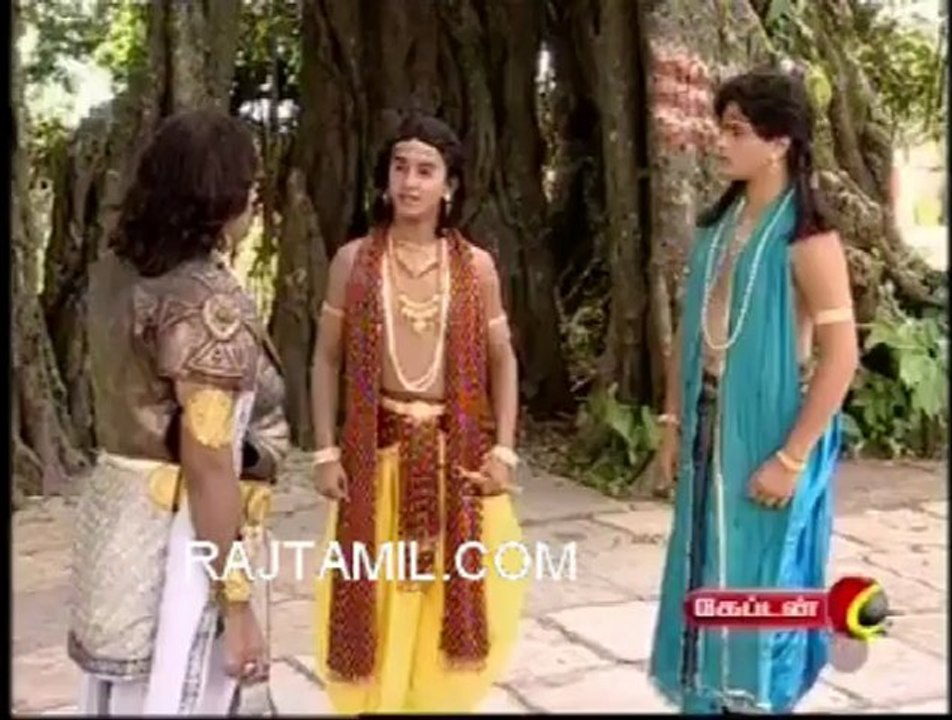 9sri krishna 3