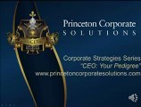 Princeton Corporate Solutions llc