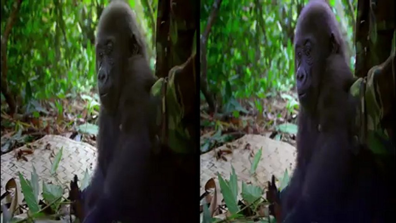 (3D) L'instant détente du mag 3D janvier 2013