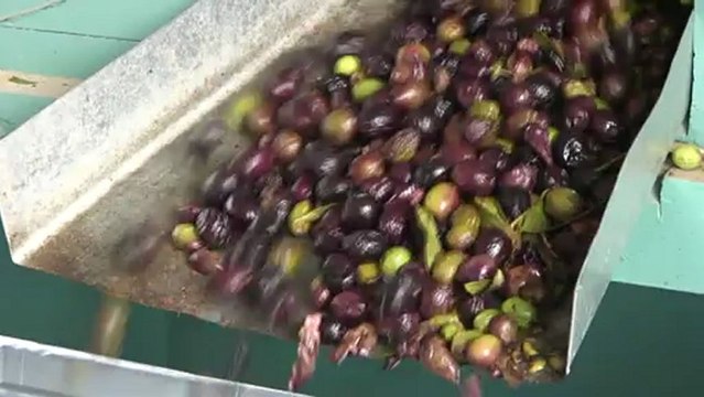 Le SUD, vous en faites tout un plat Gratin de fruits d'automne a l'huile d'olive