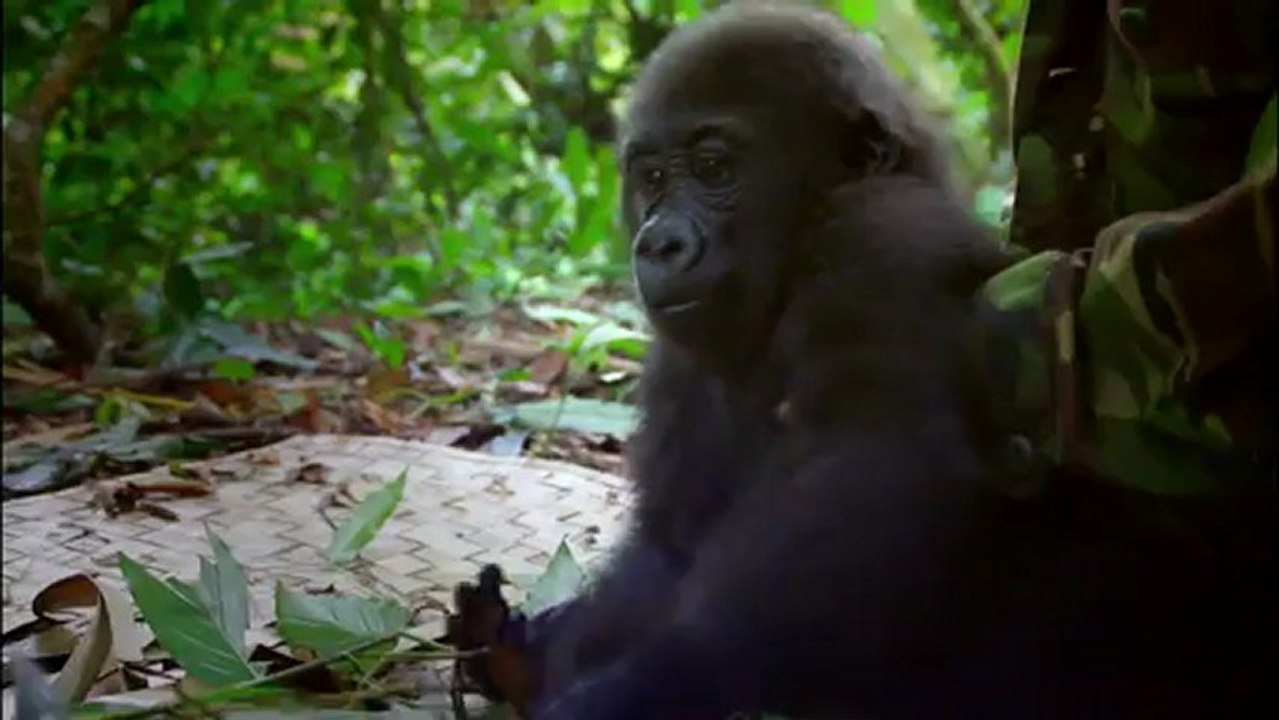 L'instant détente du mag 3D janvier 2013