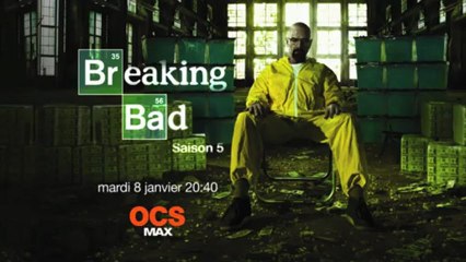 Breaking bad, saison 5