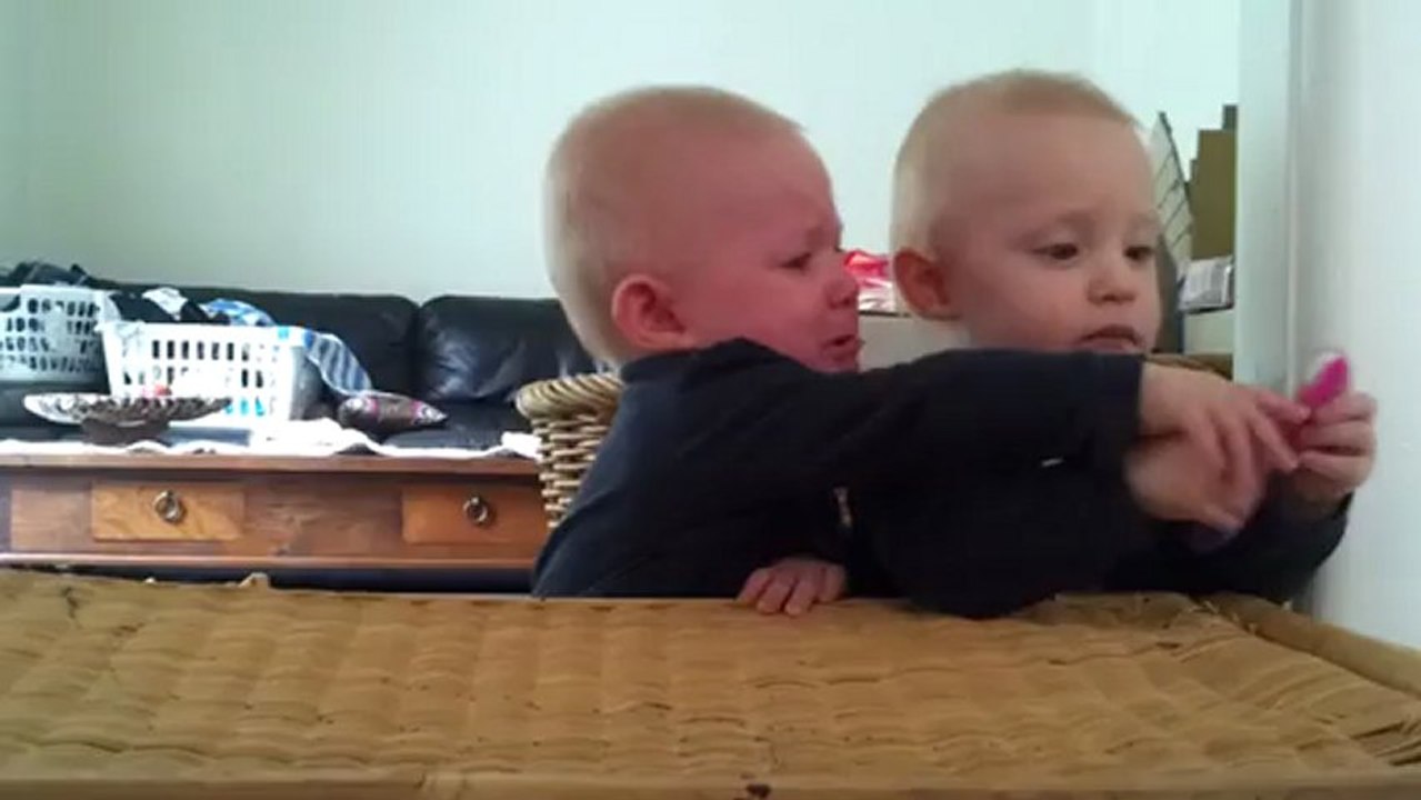 Bébés se disputent la brosse à dent