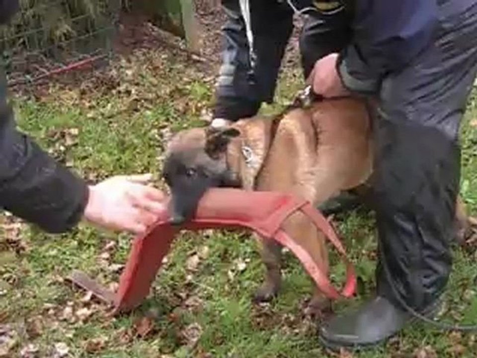 Hélice du Domaine d'Orca