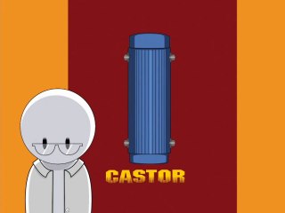 Traitement des Dechets Radioactifs dans les Containers CASTOR