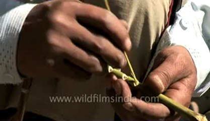 Arunachal-Ziro village-19.flv