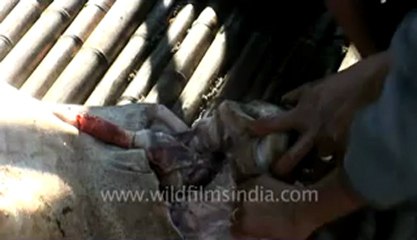 Arunachal-Ziro village-6-read removing.flv