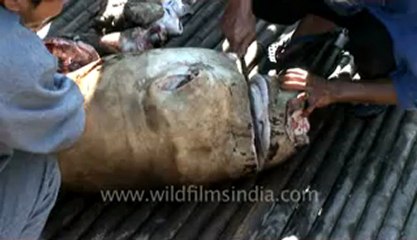 Arunachal-Ziro village-7- head removing.flv