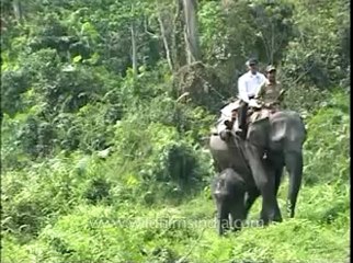 Assam-kaziranga-mdv-961-1-1.flv