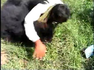 Assam-mdv-631-6-18.flv