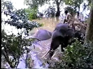 Assam-mdv-631-6-4.flv
