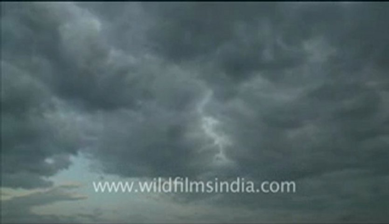 Assam_4.flv