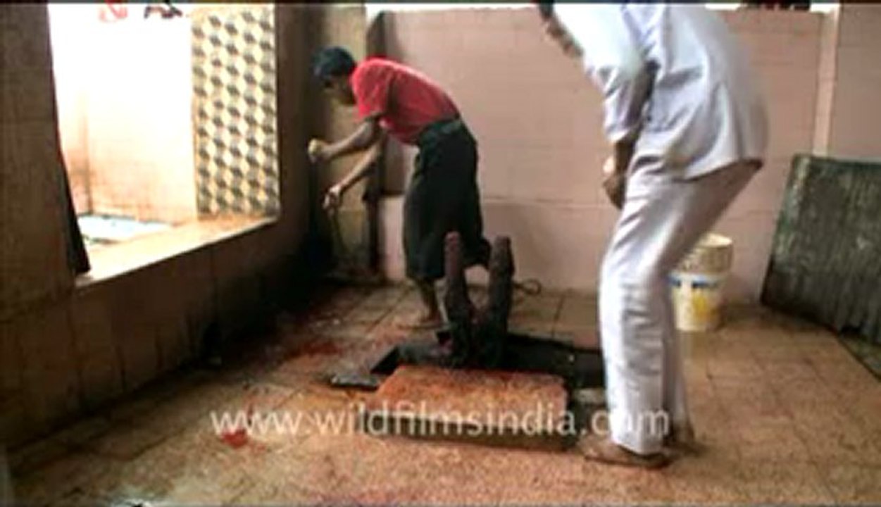 Assam_6.flv