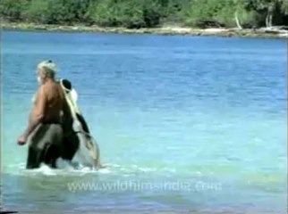 andamans&nicobar_3-2.flv