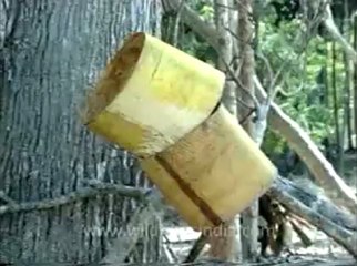 andamans&nicobar_3-5.flv