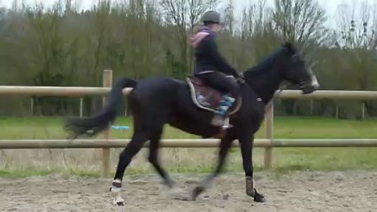 Travail sur le plat avec Cuba 04/01/13