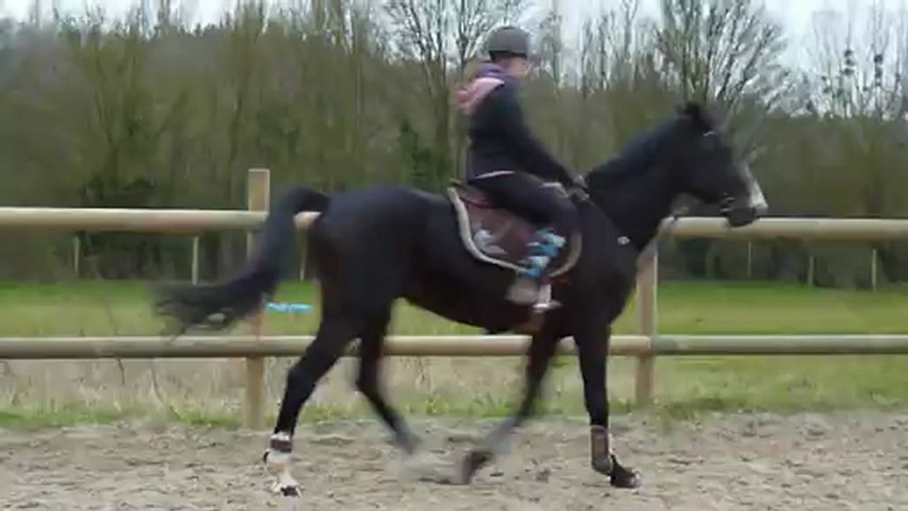 Travail sur le plat avec Cuba 04/01/13