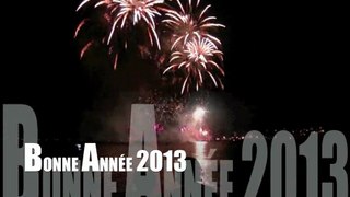 BONNE ANNÉE 2013- VIDÉO-TEXTE-VOIX RENÉE-FRANCE BOURDARIE-GHARBI
