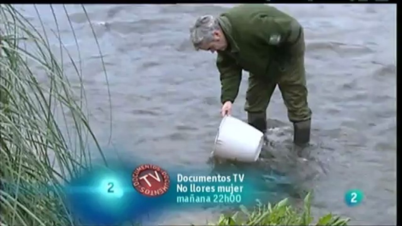 Pesca de angula (en el Deva)