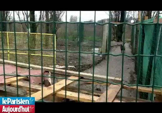 Descente dans un élevage clandestin de chiens