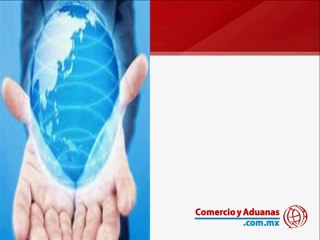 Errores Mas Comunes Al Exportar