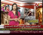 Special on Tollywood Hits 2012