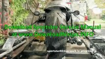 Sportster Iron Bobber Nightster_(new)