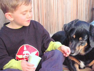 How To Choose The Right Dog For Family With Kids