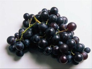 METİN TAYFUN (KARA ÜZÜM HABBESİ) GAZİANTEP