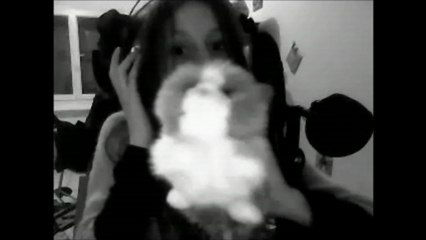 Cover "Wooden chair" (Angus Stone)