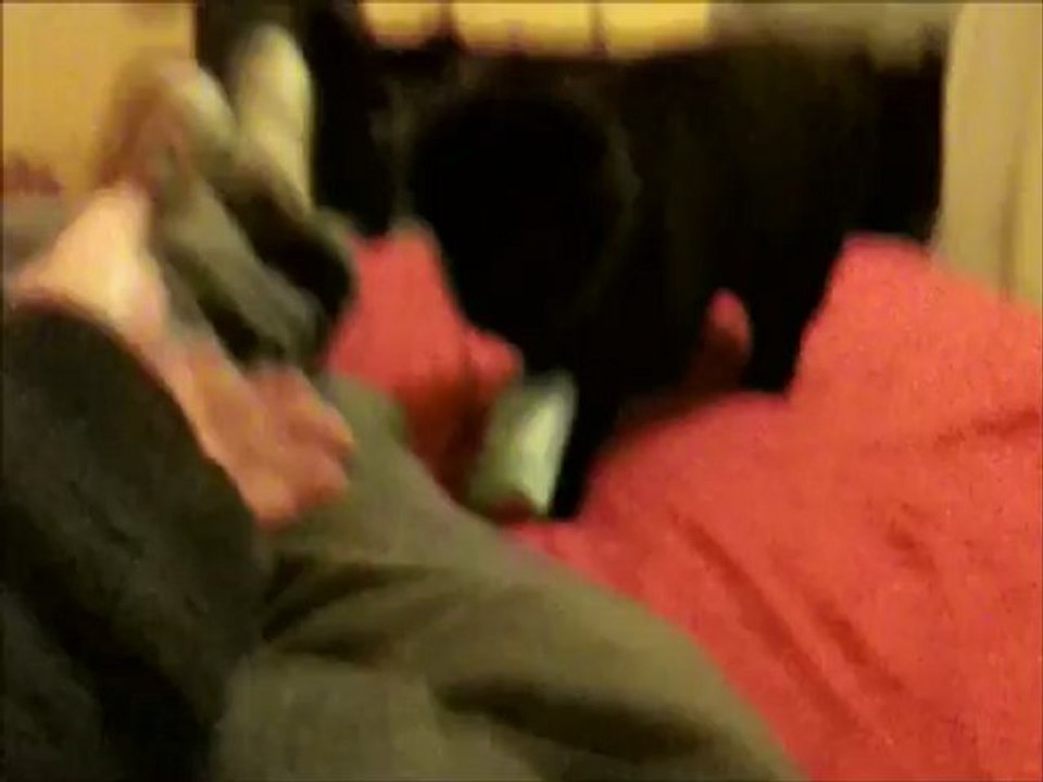 Maya et moi : bonne année