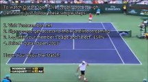 Nikolay Davydenko VS Richard Gasquet - Qatar Open Final - Live from Doha