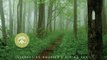 World Book Review: The Appalachian Trail: Celebrating America's Hiking Trail by Brian King, Appalachian Trail Conservancy, Bill Bryson