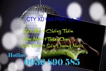 Sửa Chữa Nhà Quận 11 (call 0907 323 053)