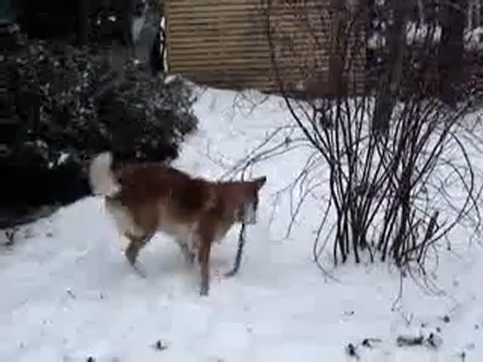 Chanelle dans le jardin d'hiver