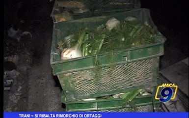 Trani | Si ribalta rimorchio di ortaggi