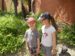 2012 mes photos coup de coeur