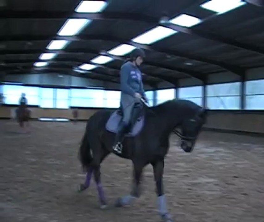 cours 5 jan 2013